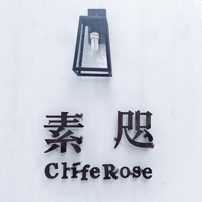 商店墙壁标牌悬挂式3D字体标志广告3D字母标志定制